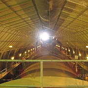Picture 009